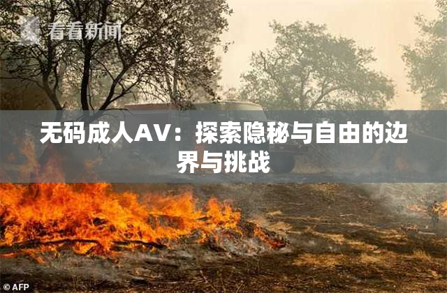 无码成人AV：探索隐秘与自由的边界与挑战