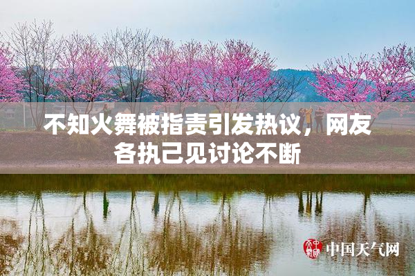 不知火舞被指责引发热议，网友各执己见讨论不断