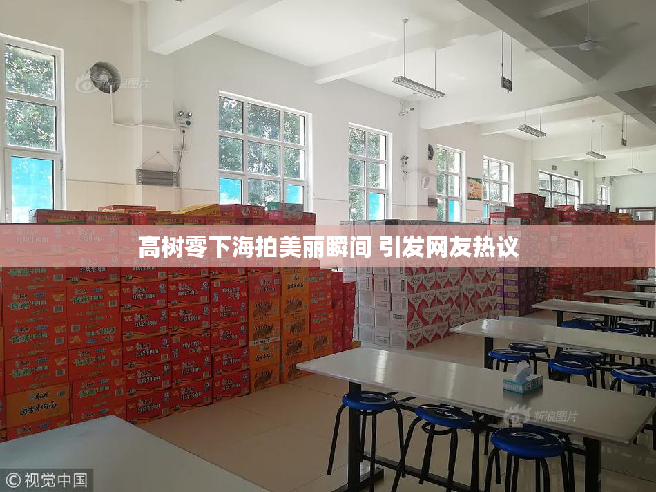 高树零下海拍美丽瞬间 引发网友热议