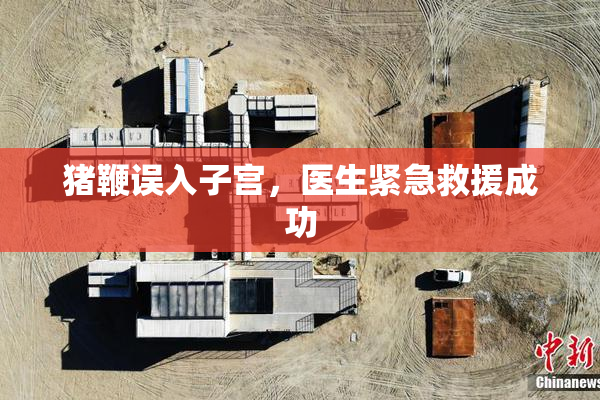 猪鞭误入子宫，医生紧急救援成功