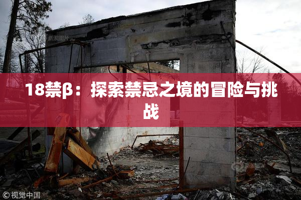 18禁β：探索禁忌之境的冒险与挑战