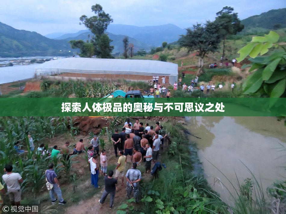 探索人体极品的奥秘与不可思议之处