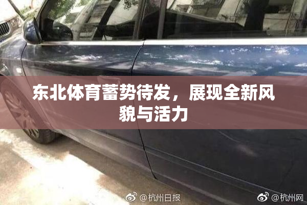 东北体育蓄势待发，展现全新风貌与活力