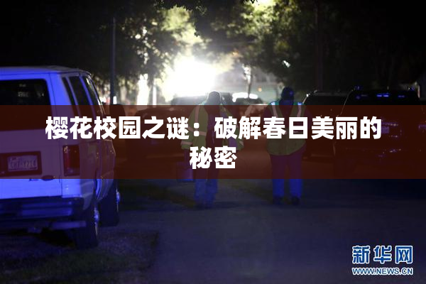 樱花校园之谜：破解春日美丽的秘密