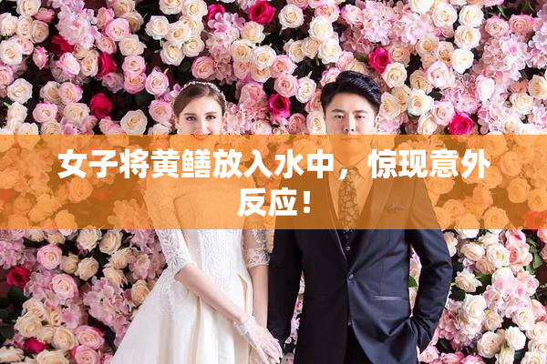 女子将黄鳝放入水中，惊现意外反应！