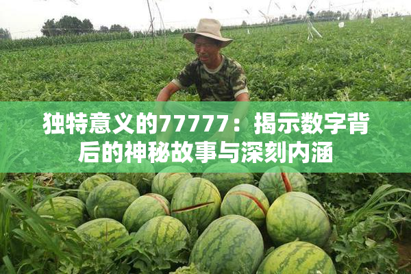 独特意义的77777：揭示数字背后的神秘故事与深刻内涵