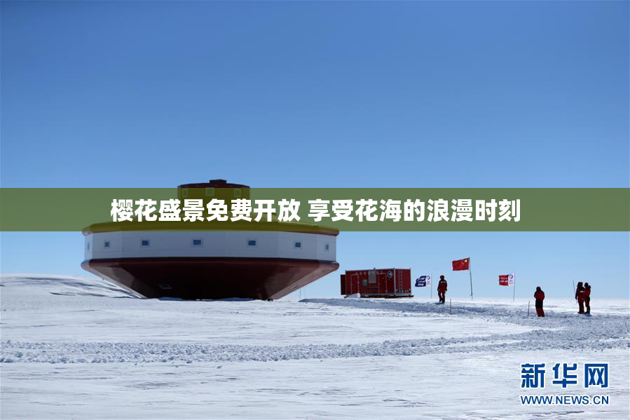 樱花盛景免费开放 享受花海的浪漫时刻