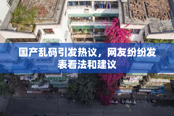 国产乱码引发热议，网友纷纷发表看法和建议
