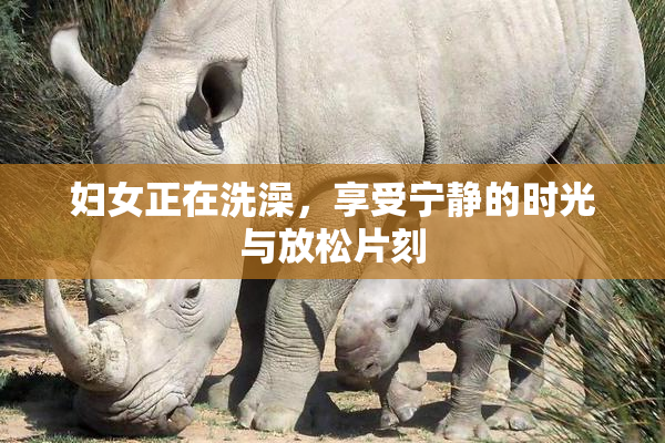 妇女正在洗澡，享受宁静的时光与放松片刻