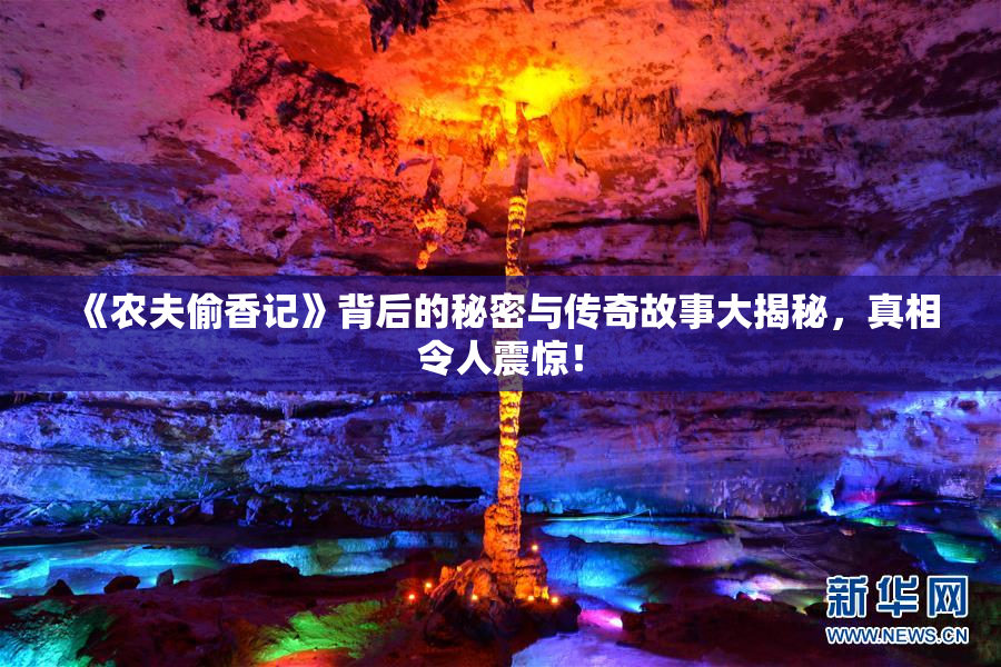 《农夫偷香记》背后的秘密与传奇故事大揭秘，真相令人震惊！
