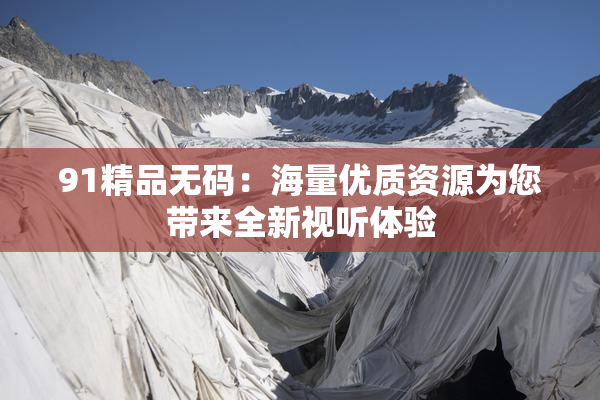 91精品无码：海量优质资源为您带来全新视听体验