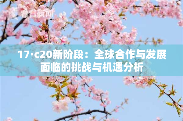 17·c20新阶段：全球合作与发展面临的挑战与机遇分析
