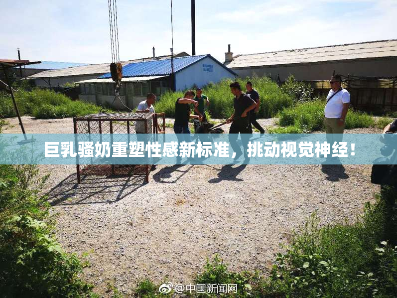 巨乳骚奶重塑性感新标准，挑动视觉神经！