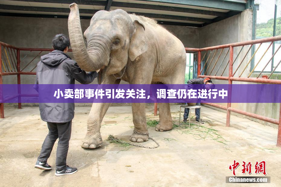 小卖部事件引发关注，调查仍在进行中