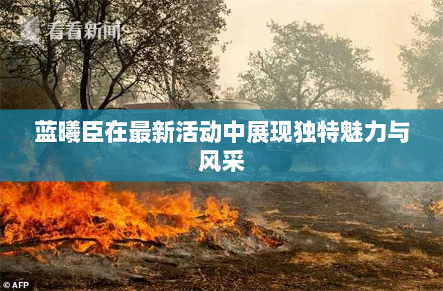 蓝曦臣在最新活动中展现独特魅力与风采