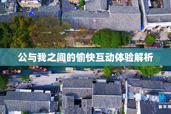 公与我之间的愉快互动体验解析
