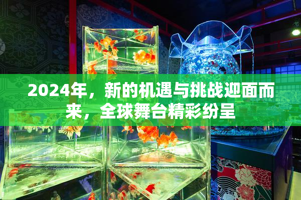 2024年，新的机遇与挑战迎面而来，全球舞台精彩纷呈
