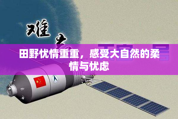 田野忧情重重，感受大自然的柔情与忧虑