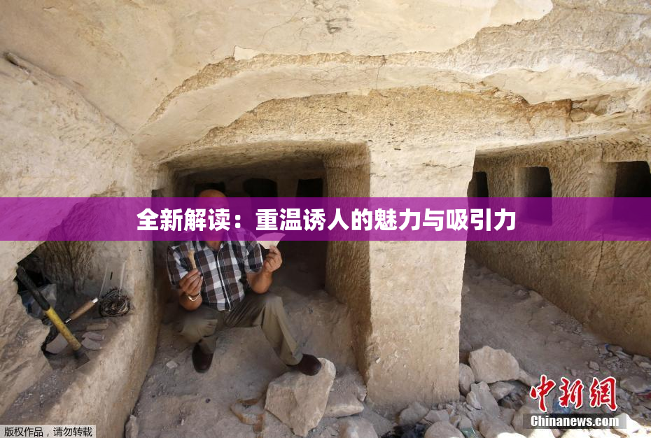 全新解读：重温诱人的魅力与吸引力