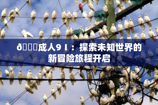 🔞成人9Ⅰ：探索未知世界的新冒险旅程开启