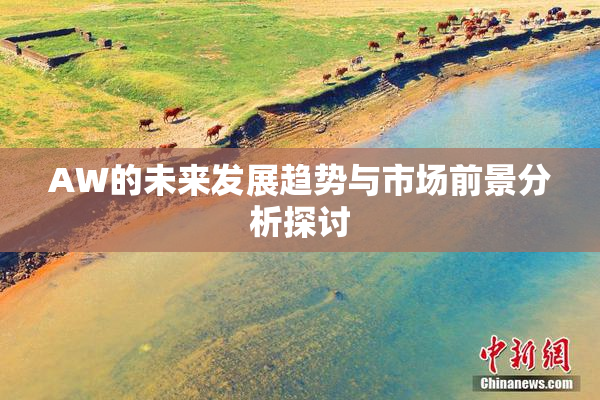 AW的未来发展趋势与市场前景分析探讨