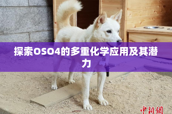 探索OSO4的多重化学应用及其潜力