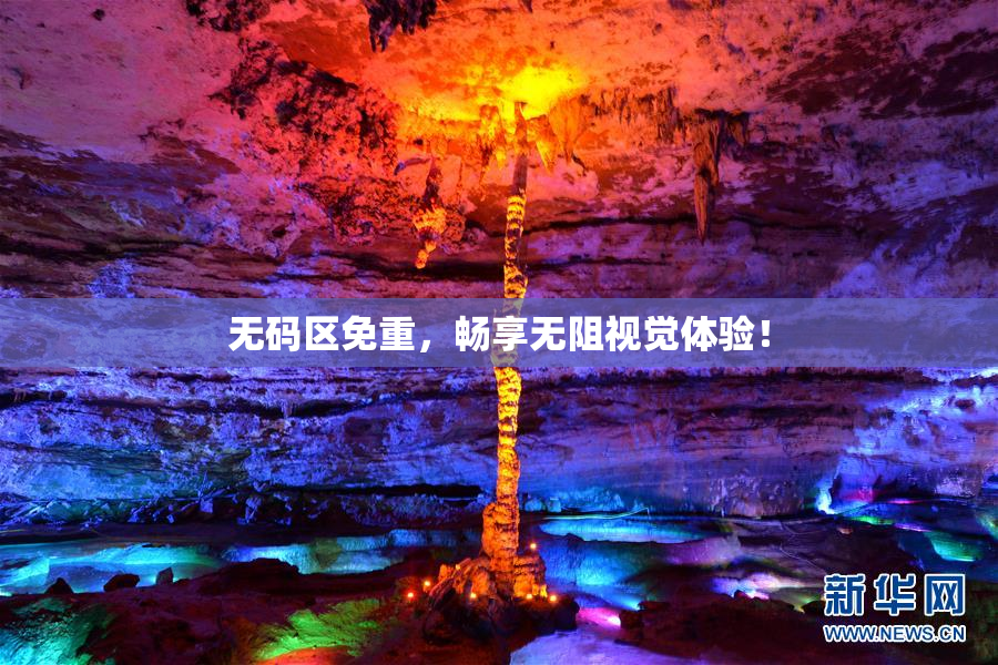 无码区免重，畅享无阻视觉体验！