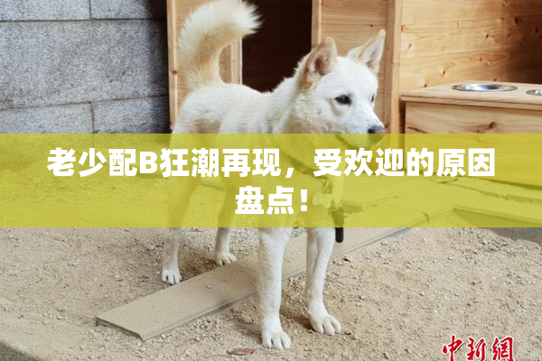 老少配B狂潮再现，受欢迎的原因盘点！