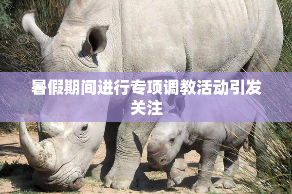 暑假期间进行专项调教活动引发关注