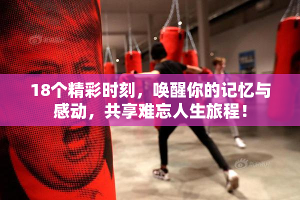 18个精彩时刻，唤醒你的记忆与感动，共享难忘人生旅程！