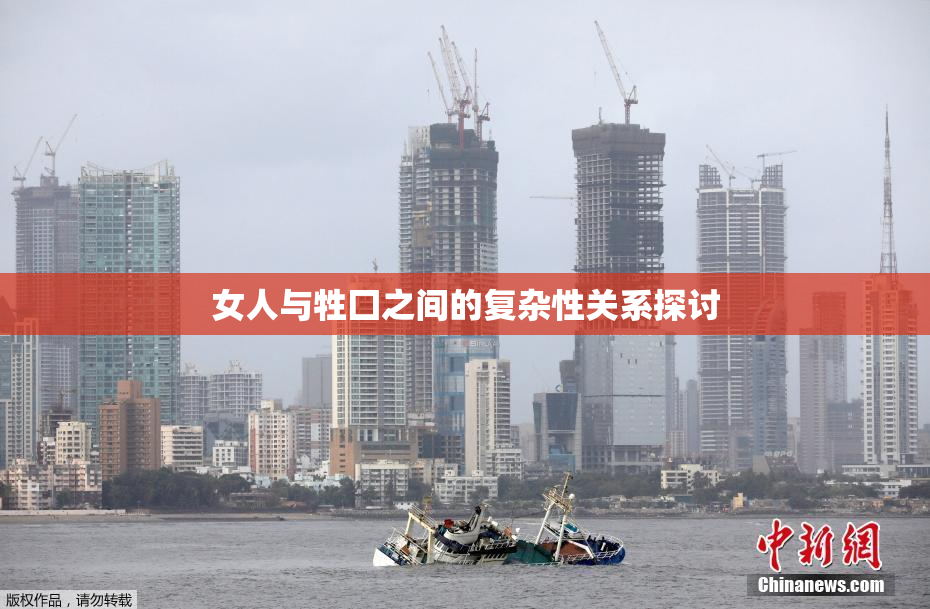 女人与牲囗之间的复杂性关系探讨