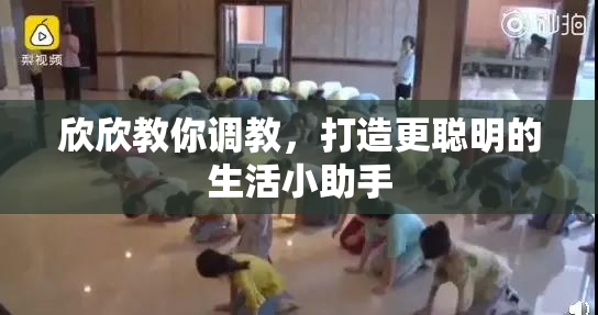 欣欣教你调教，打造更聪明的生活小助手