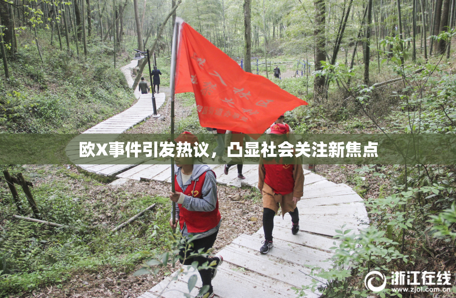欧X事件引发热议，凸显社会关注新焦点