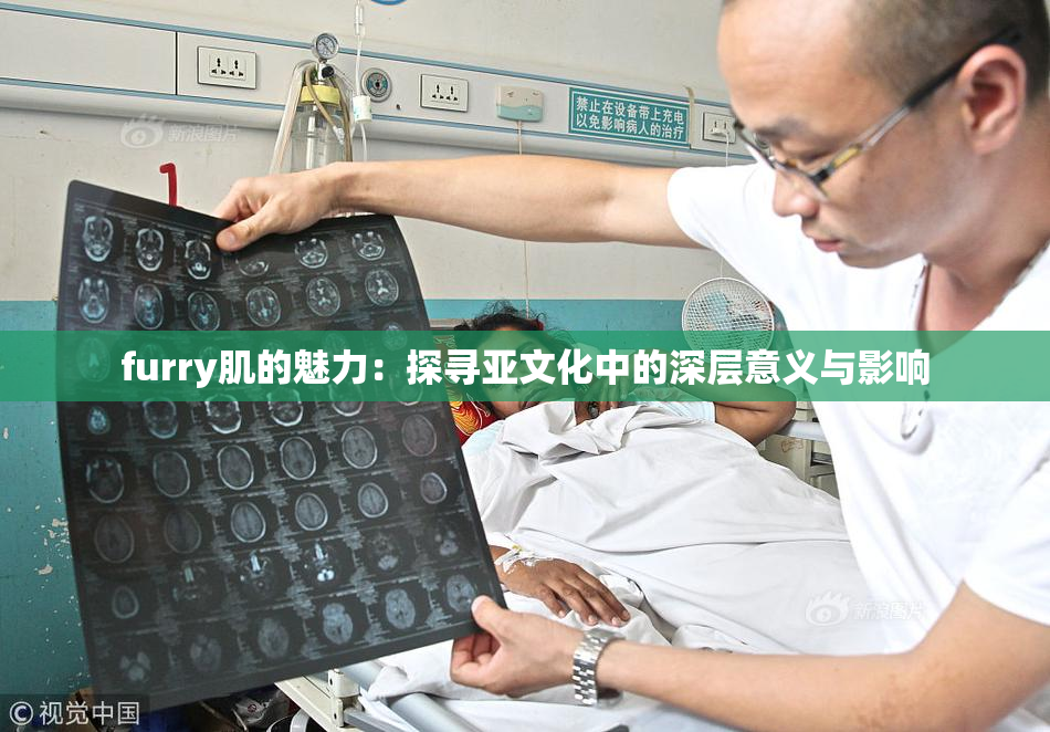 furry肌的魅力：探寻亚文化中的深层意义与影响