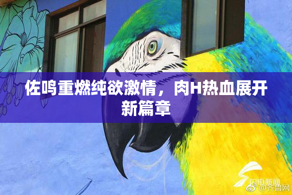 佐鸣重燃纯欲激情，肉H热血展开新篇章