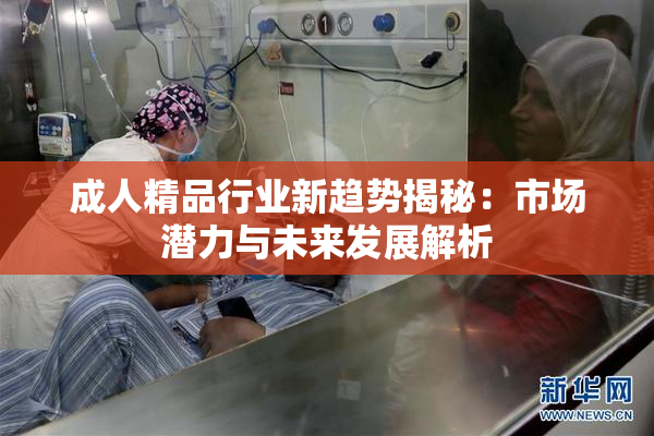 成人精品行业新趋势揭秘：市场潜力与未来发展解析