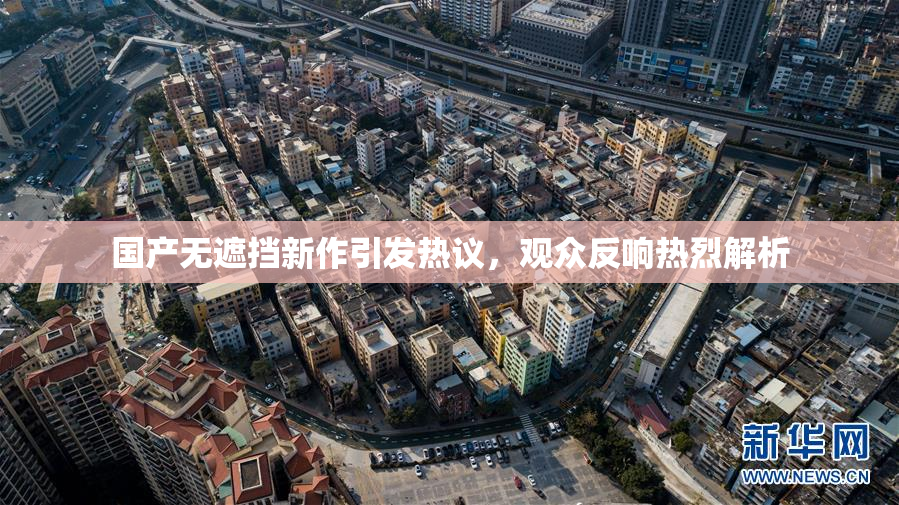 国产无遮挡新作引发热议，观众反响热烈解析
