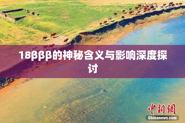 18βββ的神秘含义与影响深度探讨