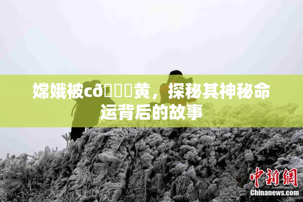 嫦娥被c🔞黄，探秘其神秘命运背后的故事