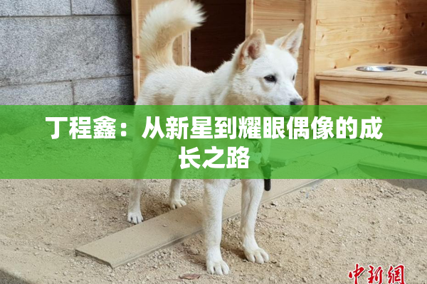 丁程鑫：从新星到耀眼偶像的成长之路