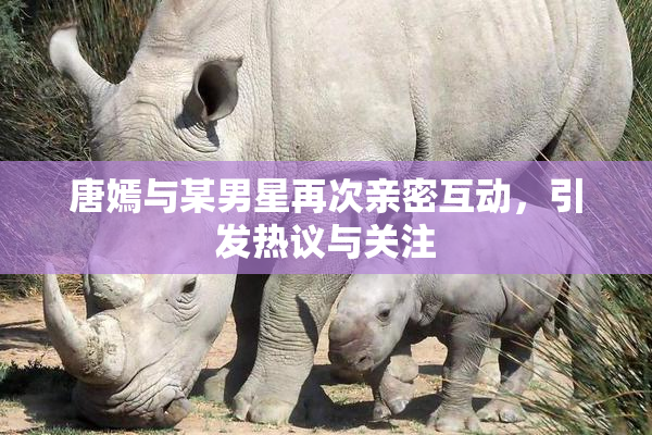 唐嫣与某男星再次亲密互动，引发热议与关注