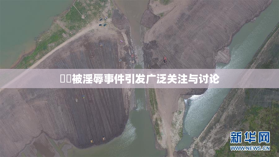 妺妺被淫辱事件引发广泛关注与讨论
