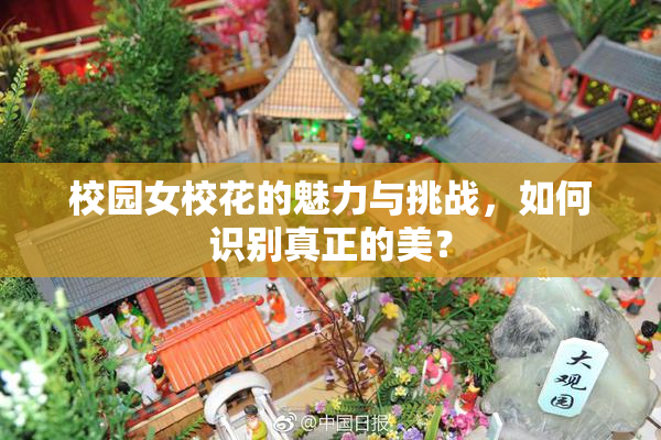 校园女校花的魅力与挑战，如何识别真正的美？