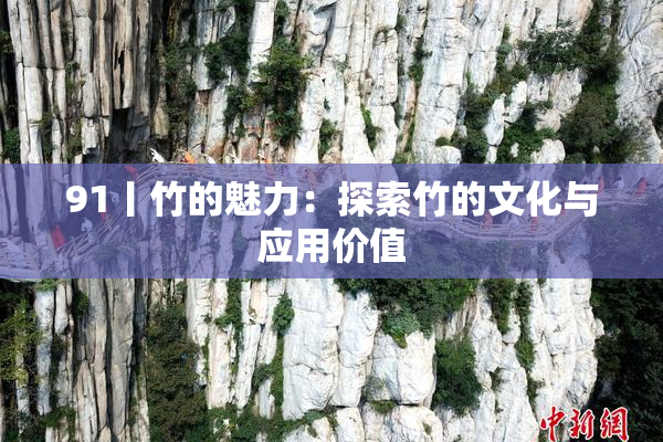 91丨竹的魅力：探索竹的文化与应用价值
