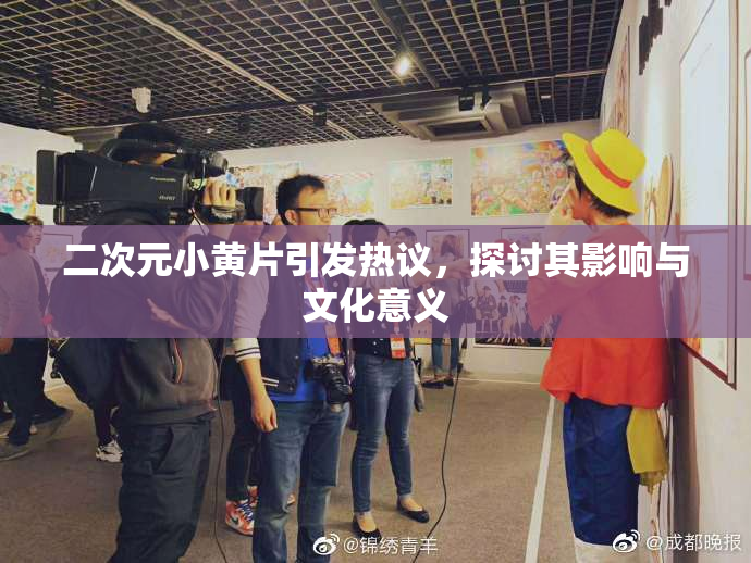 二次元小黄片引发热议，探讨其影响与文化意义