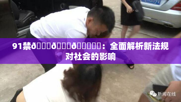 91禁🍆🍑🔞❌‌：全面解析新法规对社会的影响