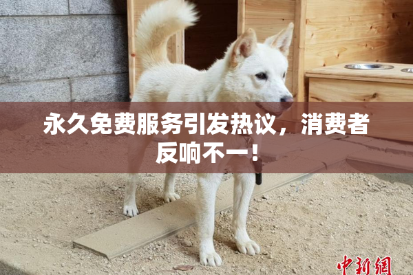 永久免费服务引发热议，消费者反响不一！