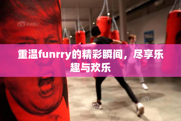重温funrry的精彩瞬间，尽享乐趣与欢乐