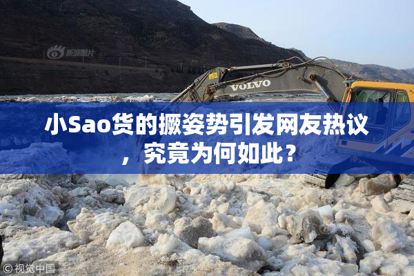 小Sao货的撅姿势引发网友热议，究竟为何如此？