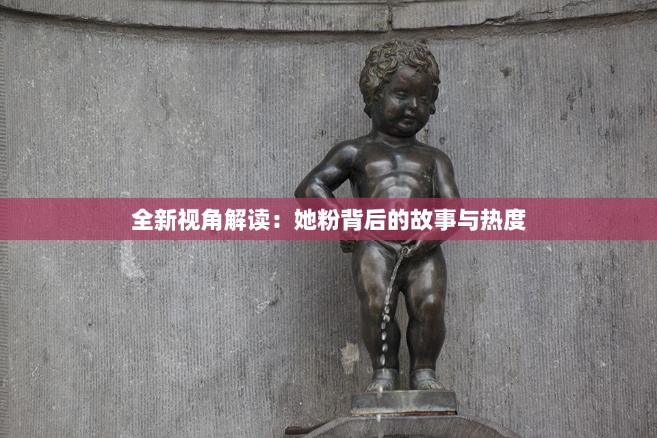 全新视角解读：她粉背后的故事与热度